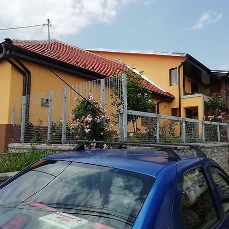 Casa Darius Διαμέρισμα Orşova Εξωτερικό φωτογραφία