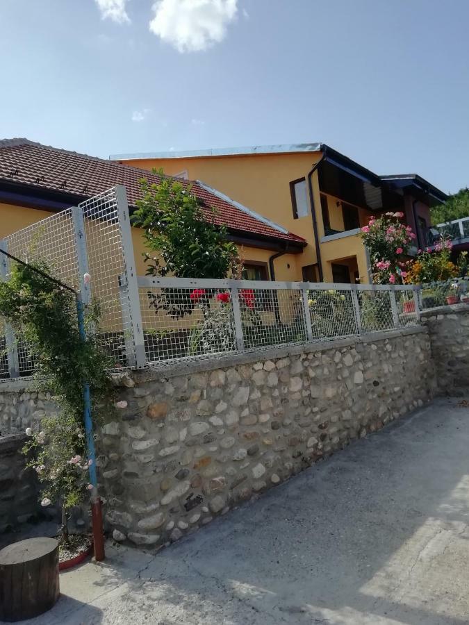 Casa Darius Διαμέρισμα Orşova Εξωτερικό φωτογραφία